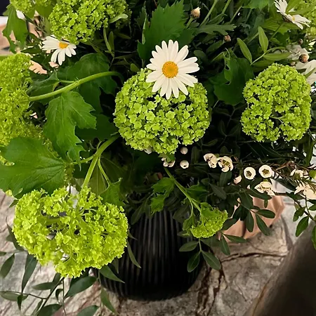 Apartamento Luxury Relax Near Station *